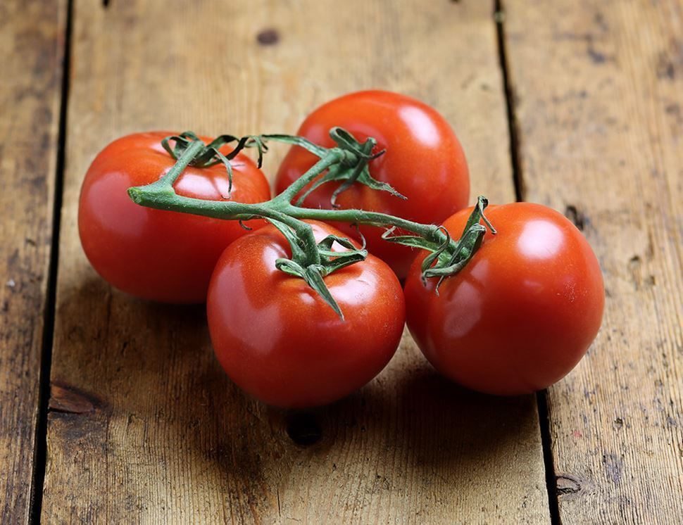 Посев томатов на рассаду в 2020 году на Урале по лунному календарю