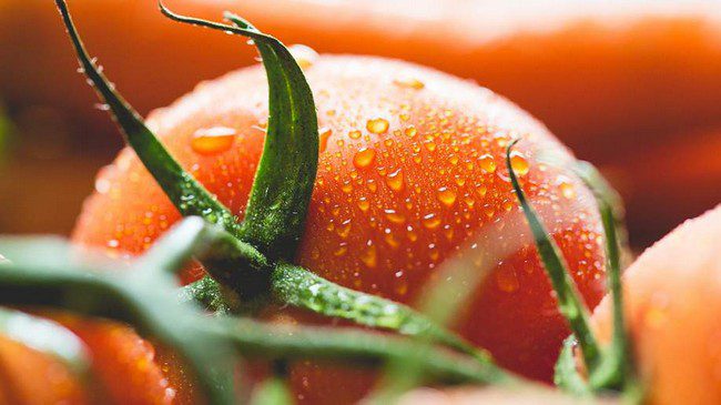 Posev tomatov na rassadu v 2020 godu v Sibiri po lunnomu kalendarju 2