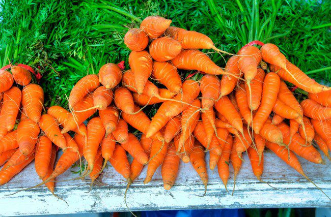 Как обработать семена моркови чтобы посевы быстро взошли