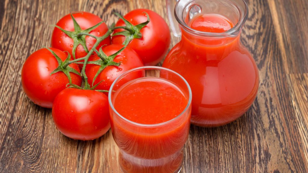 Как обработать семена томатов перед посадкой на рассаду