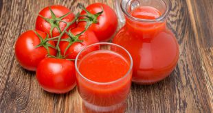 Как обработать семена томатов перед посадкой на рассаду