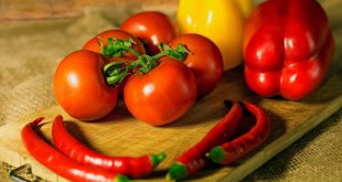 Как выбрать грунт для рассады томатов и перца