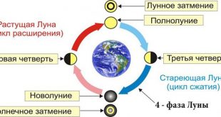 Лунный посевной календарь на март 2020 года садовода и огородника