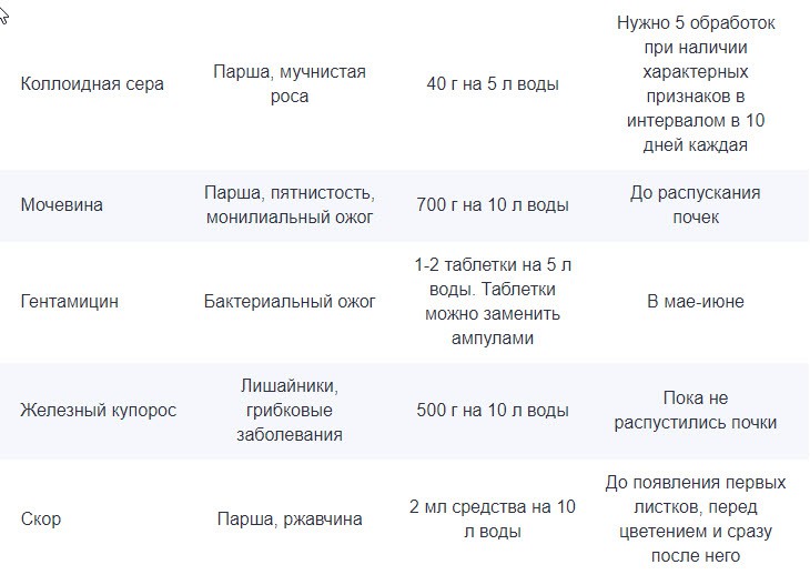 Обработка груши коллоидной серой