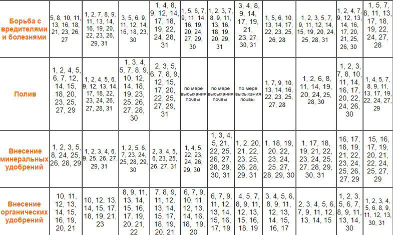 Благоприятные дни для посадки рассады в мае 2020 года по лунному календарю