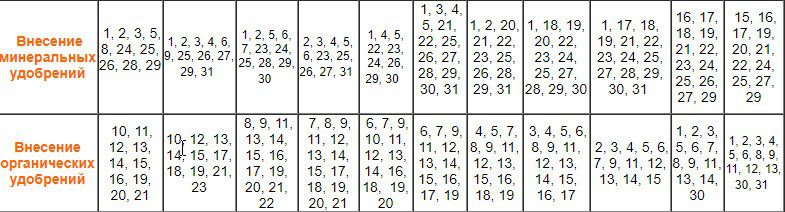 Календарь подкормок в мае 2020 года по лунному календарю