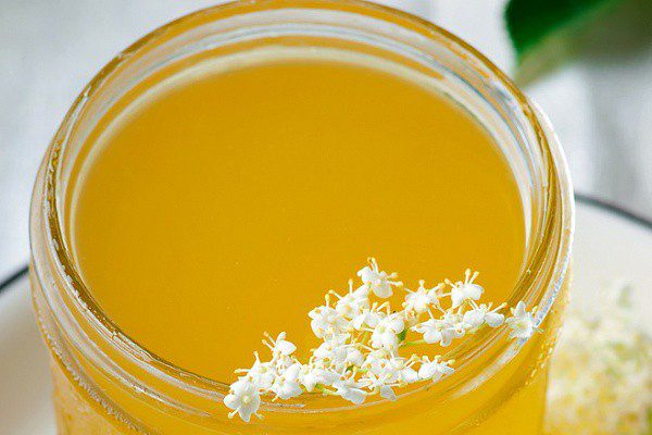 Как сварить мед из бузины в домашних условиях простой рецепт