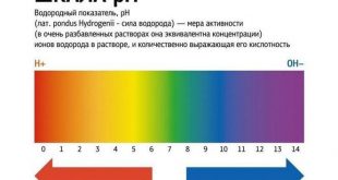 Что делать чтобы розы дольше стояли в вазе?