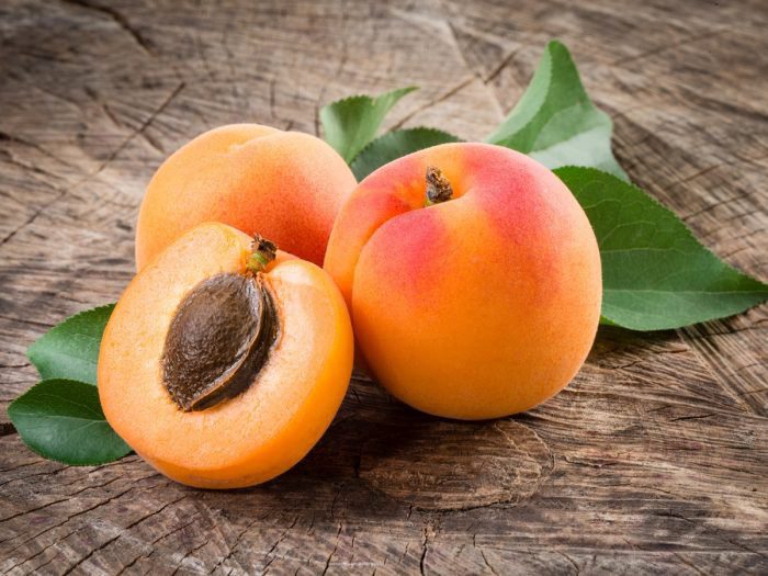 apricot zamorozka 4