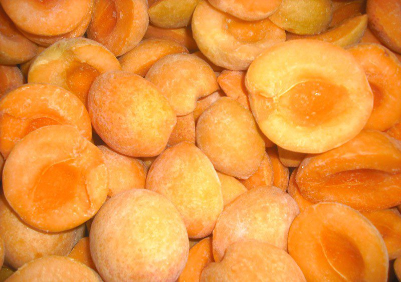 apricot zamorozka 5
