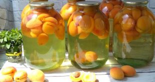 Компот из абрикосов на зиму простой рецепт без стерилизации