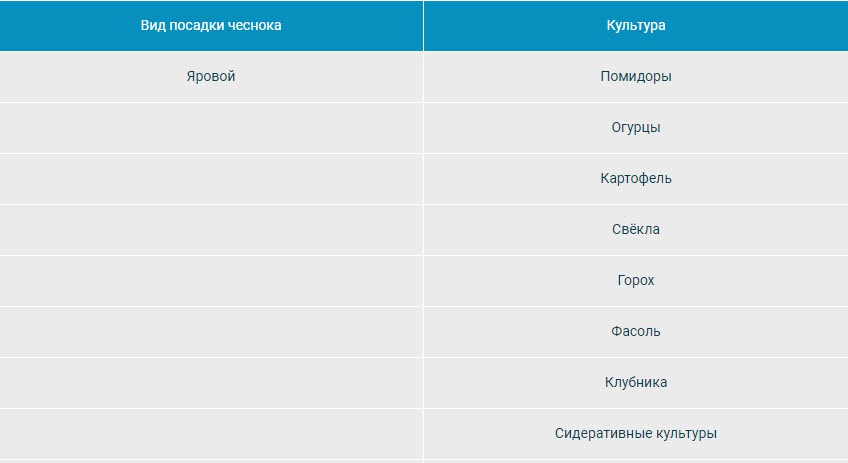 Что можно посадить на грядку после чеснока на следующий год таблица