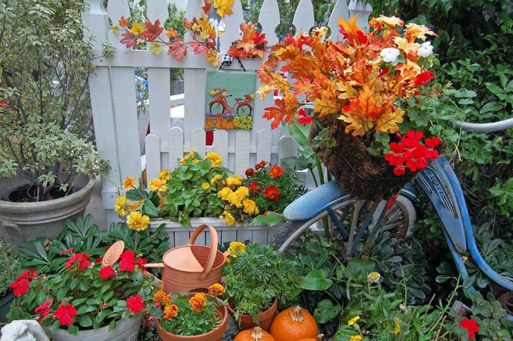 Лунный календарь на октябрь 2020 года садовода и огородника цветовода