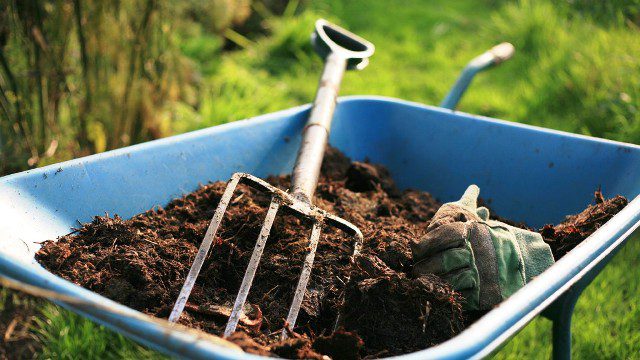 Чем удобрить почву осенью после уборки урожая