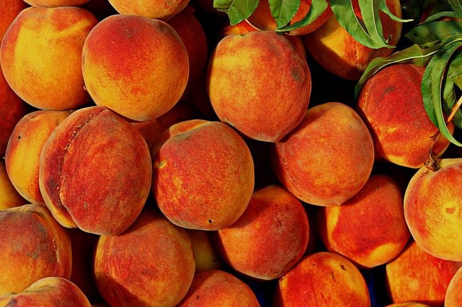Обрезка персика осенью для начинающих в картинках пошагово видео