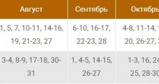 Посадка клубники осенью в открытый грунт усами в Ленинградской области