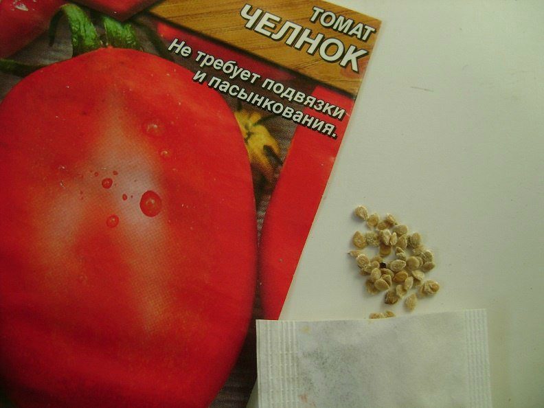 Закаливание семян томатов перед посадкой в холодильнике