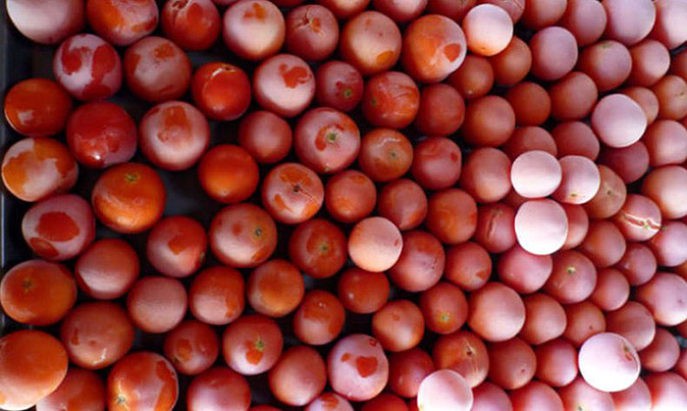 Как замораживать помидоры на зиму в морозилке правильно?