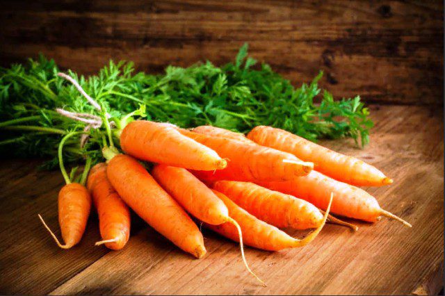 Посадка моркови осенью 2021 под зиму на Урале
