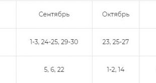 Посадка моркови осенью 2021 под зиму в Подмосковье