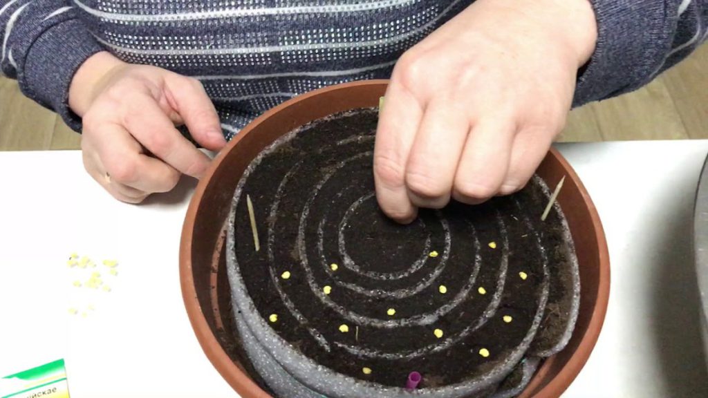 Посев семян перца на рассаду в марте 2022 году благоприятные дни