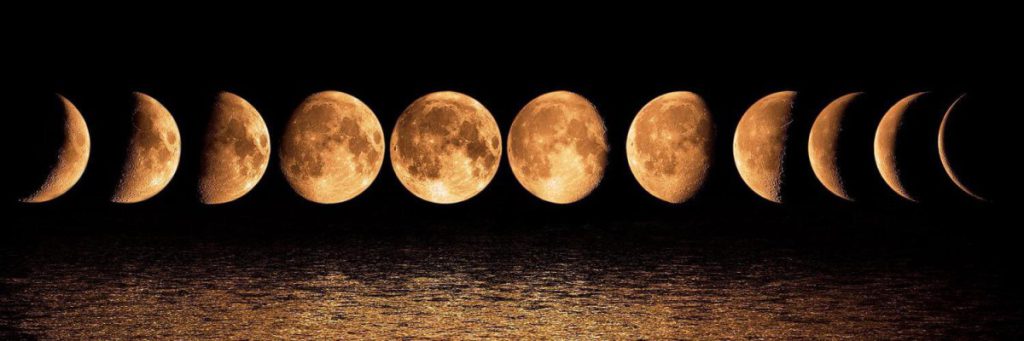 Лунный посадочный календарь на 2022 год: таблица, благоприятные дни