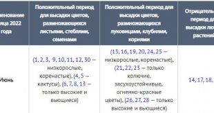 Лунный календарь цветовода на июнь 2022 года благоприятные дни