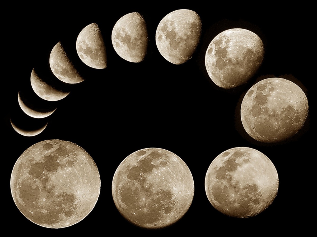 Фазы луны в феврале 2022 года по дням благоприятные дни для посадки