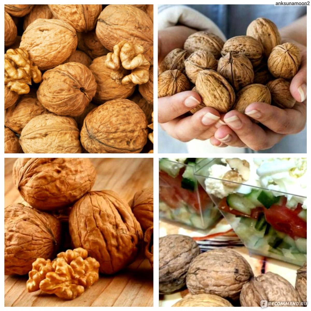 Грецкие орехи: полезные свойства и противопоказания