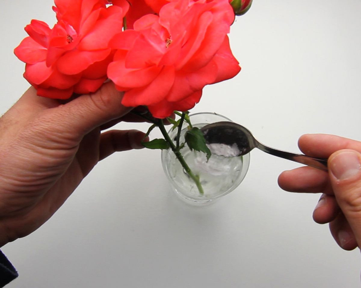 Что делать, чтобы цветы в вазе стояли дольше?